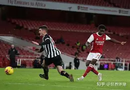 纽卡斯尔联球场