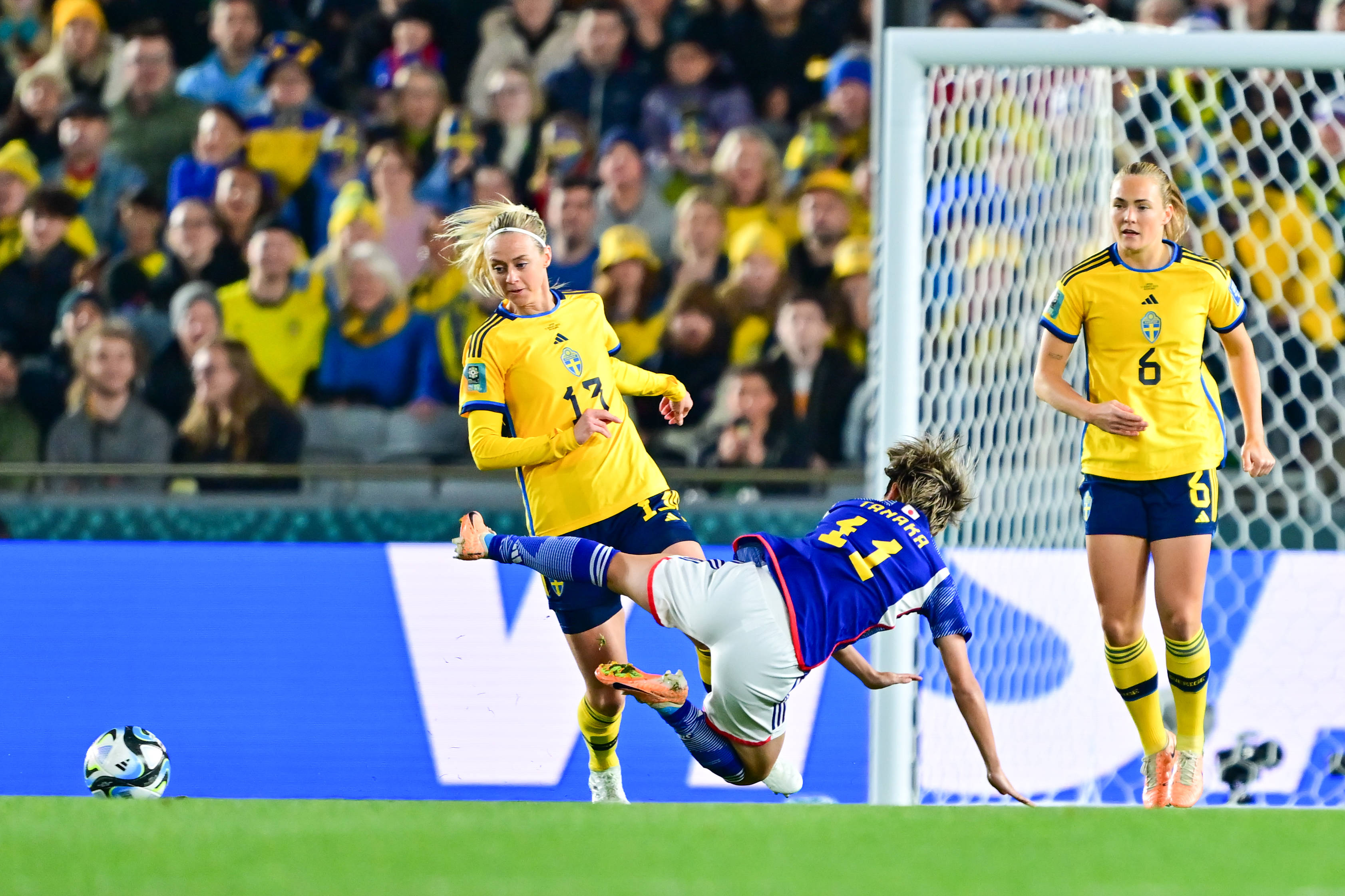 波兰队vs瑞典队集锦