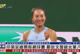 东南亚赛区队伍